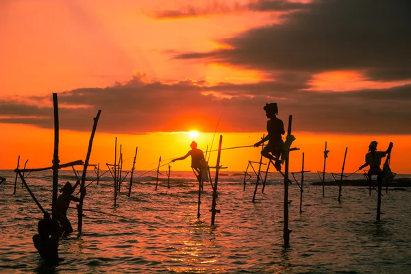 Sri lankan traditional stilt fisherman — Stock Photo, Image