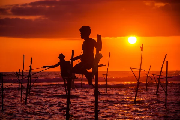 Sri lankan traditional stilt fisherman — Stock Photo, Image