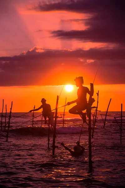 Sri lankan traditional stilt fisherman — Stock Photo, Image