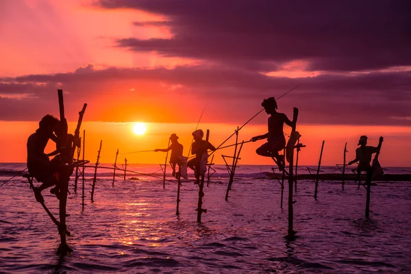 Sri Lanka pescador tradicional de zancos — Foto de Stock