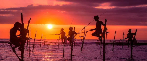 Sri Lanka pescador tradicional de zancos — Foto de Stock