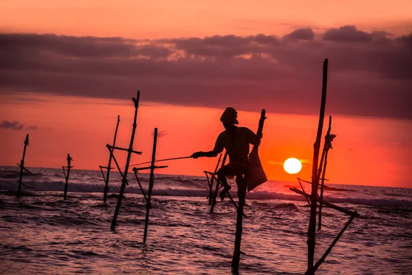 Sri Lanka pescador tradicional de zancos — Foto de Stock