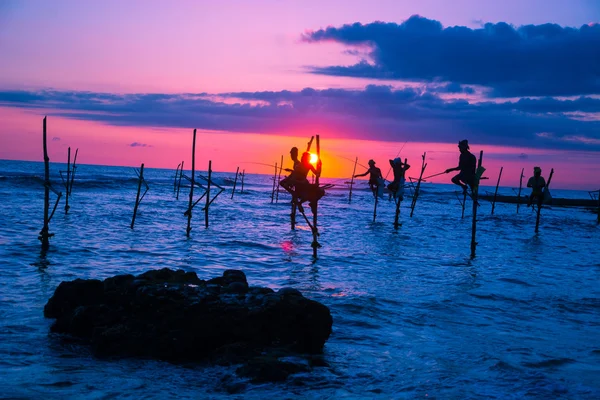 Sri Lankaanse traditionele stilt visser — Stockfoto