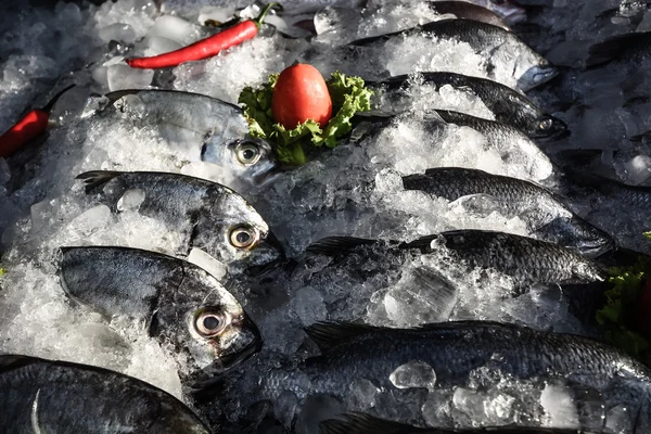 Verschiedene Fische auf dem Fischmarkt — Stockfoto