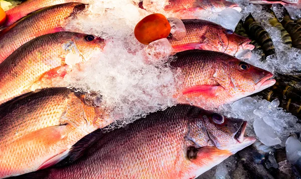 Verschiedene Fische auf dem Fischmarkt — Stockfoto