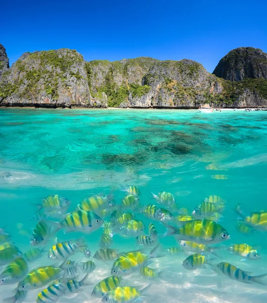 Prachtige onderwater en landschap island — Stockfoto