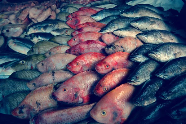 Various fish in the fish market — Stock Photo, Image