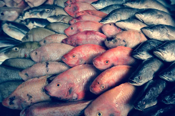 Verschiedene Fische auf dem Fischmarkt — Stockfoto