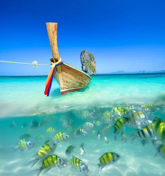 Beautiful underwater and landscape island — Stock Photo, Image