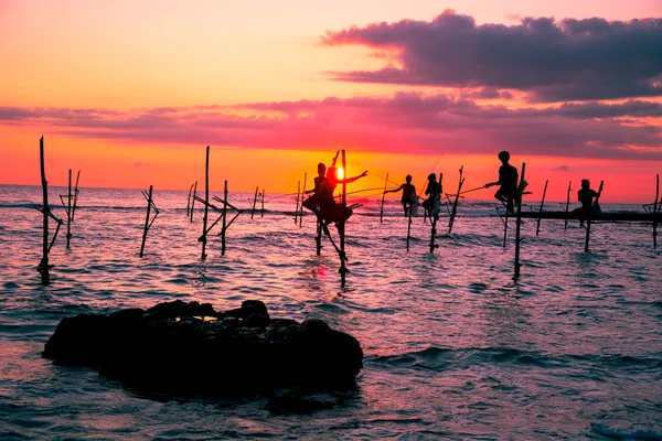 Sri lankan traditional stilt fisherman — Stock Photo, Image