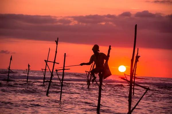 Srilanka geleneksel Uzunbacak balıkçılar — Stok fotoğraf