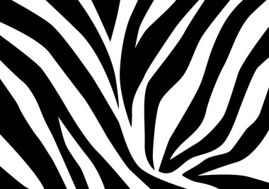 zebra deseni