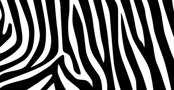 Wzór zebra — Zdjęcie stockowe