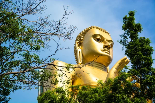 Arany buddha szobor — Stock Fotó