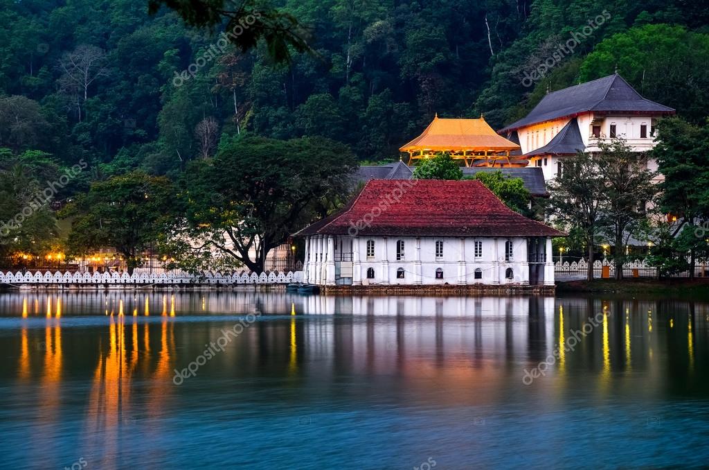 surangastock