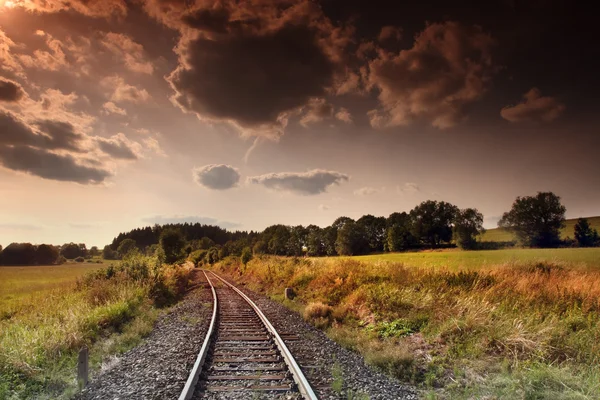 manzara içinde tren