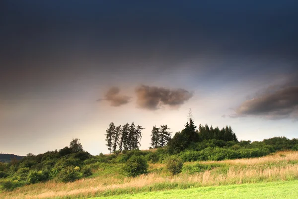 Donker landschap — Stockfoto