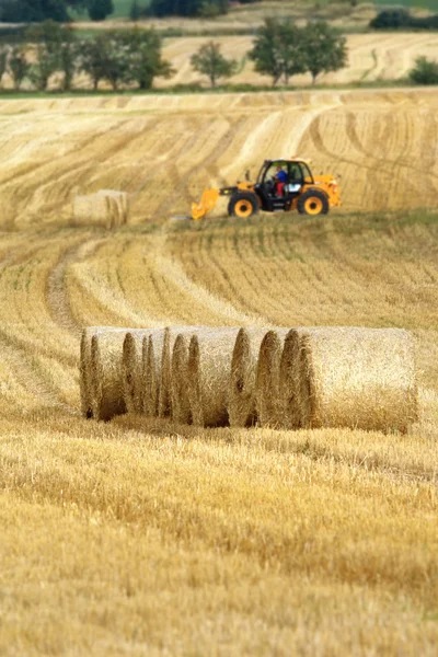 Straw Haystacks on the grain field after harvesting — Stock Photo, Image