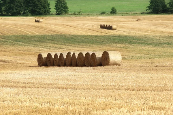 Straw Haystacks on the grain field after harvesting — Stock Photo, Image