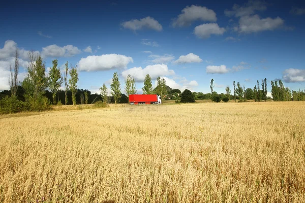 Lastbil på väg — Stockfoto