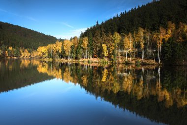 Göl kenarında sonbahar.