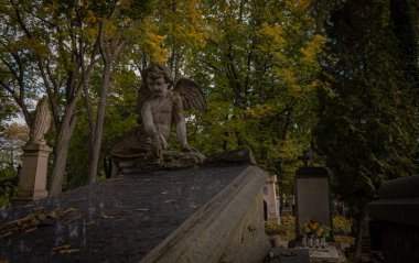 Krakow 'daki Tarihi Rakowice Mezarlığı