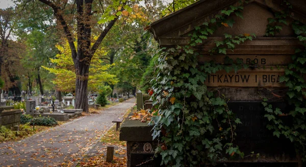 Krakow Daki Tarihi Rakowice Mezarlığı — Stok fotoğraf