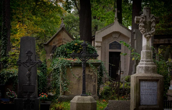Cementerio Histórico Rakowice Cracovia Imágenes de stock libres de derechos