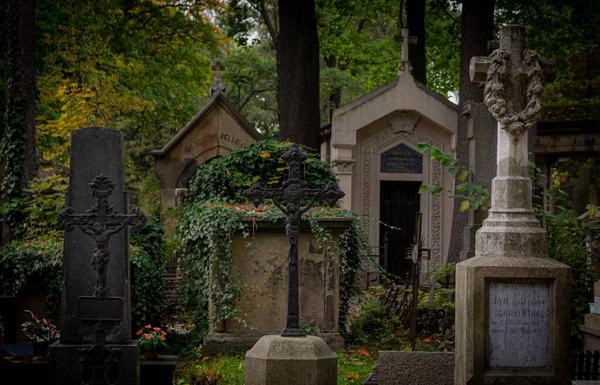 Cimetière Historique Rakowice Cracovie Images De Stock Libres De Droits