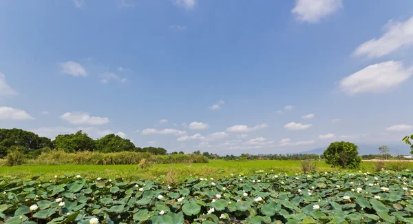 Campo de aplicação — Fotografia de Stock