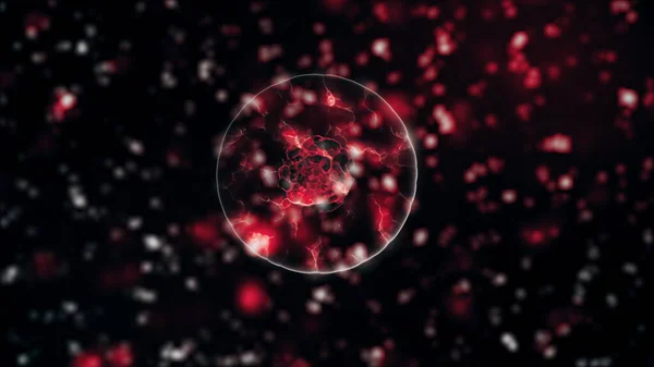 Omicron Pathogen van coronavirus 2019-nCov in besmet organisme onder microscoop als rode kleurcellen op zwarte achtergrond. Gevaarlijke virusstammen leiden tot epidemieën. 3d rendering close-up in — Stockfoto
