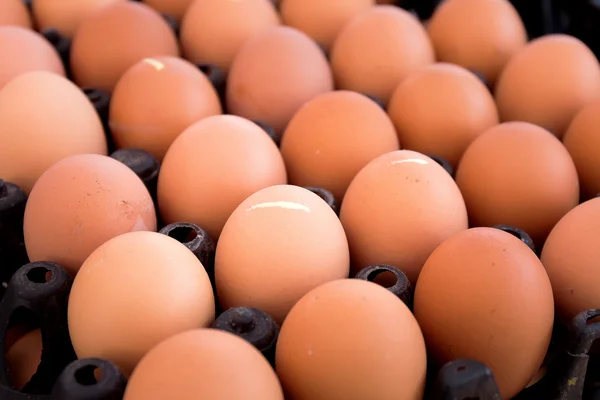 Eier auf dem Markt — Stockfoto