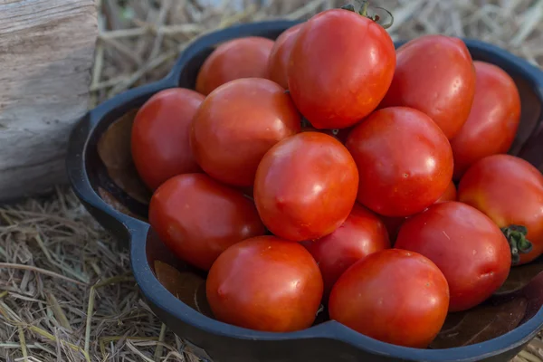 domates yemek arka planı için
