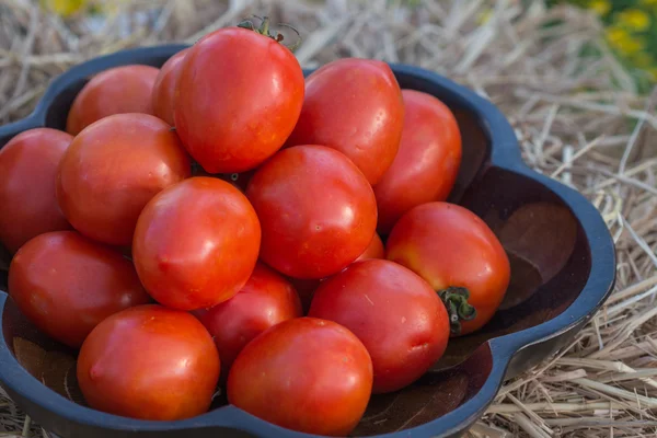 domates yemek arka planı için