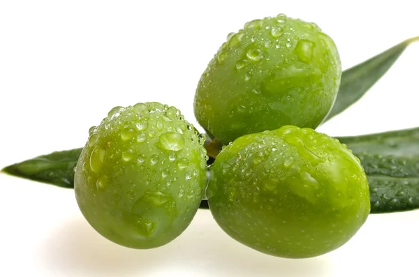 Trio of olives — Stock Photo, Image