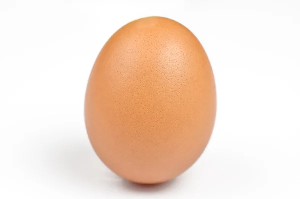 Pouze vejce — Stock fotografie