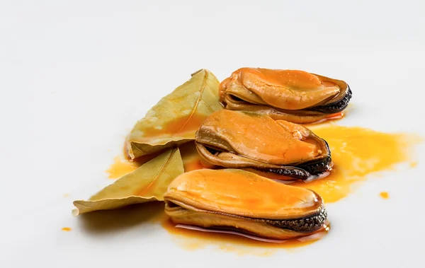 Mussels with laurel — Stock Photo, Image