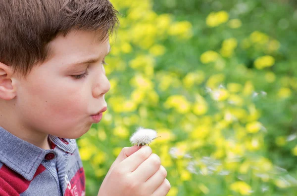 Child making a wish — Stock Photo, Image