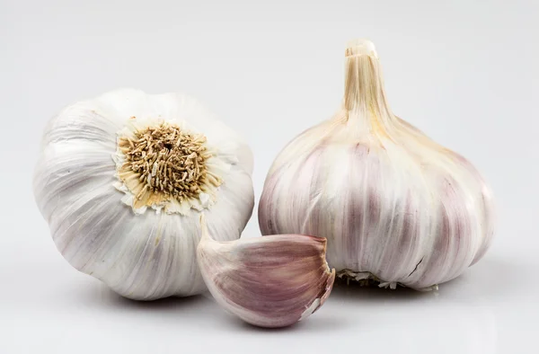 Knoblauch 14 — Stockfoto