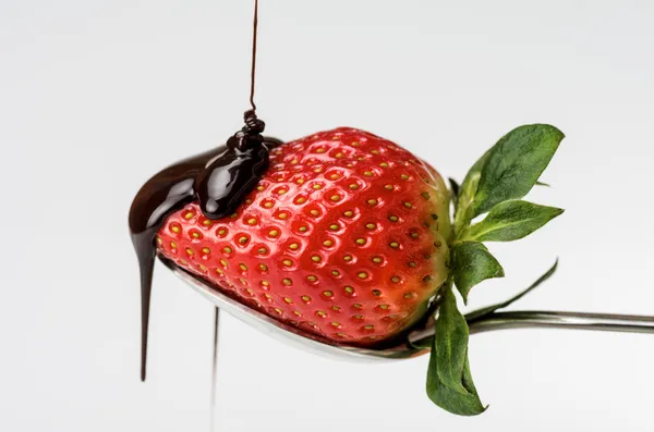 Strawberry with chocolate 5 — Stock Photo, Image