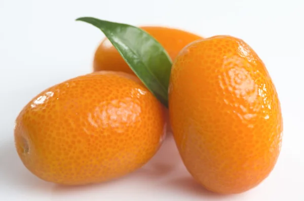 Kumquat for you — Stock Photo, Image