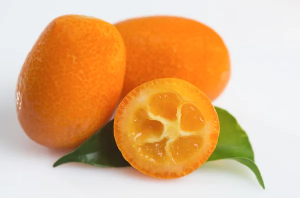 Kumquat for the elderly — Stock Photo, Image