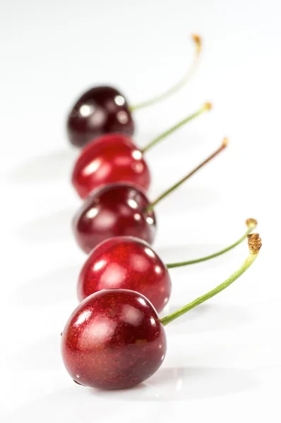 Artistic cherries — Stock Photo, Image