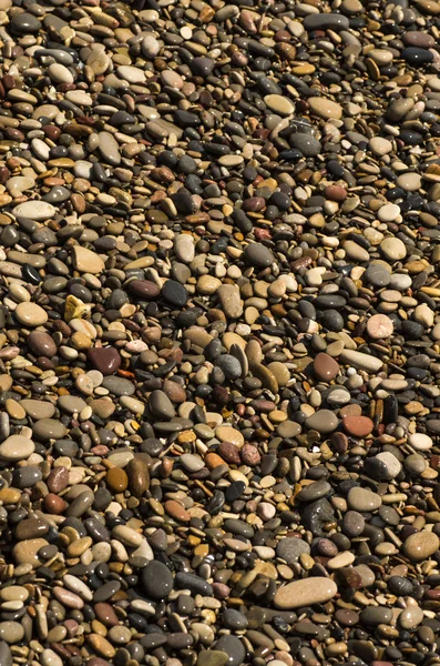 Steentjes van het strand 4 — Stockfoto
