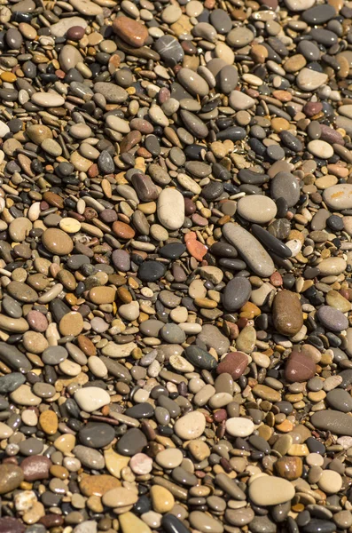 Steentjes van het strand 2 — Stockfoto