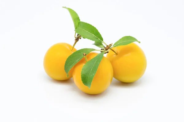 Two yellow plums — Stock Photo, Image