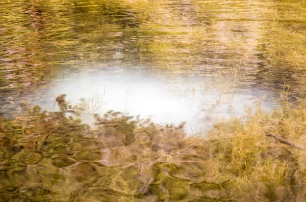 Таємничий води — стокове фото