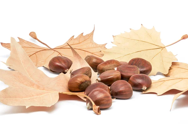 Chestnuts and leaves 3 — Stock Photo, Image