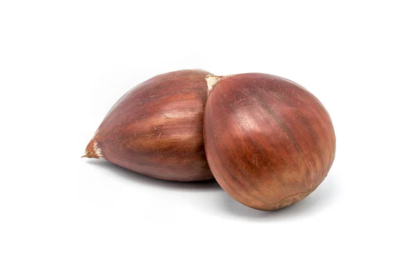 Two chestnuts — Stock Photo, Image