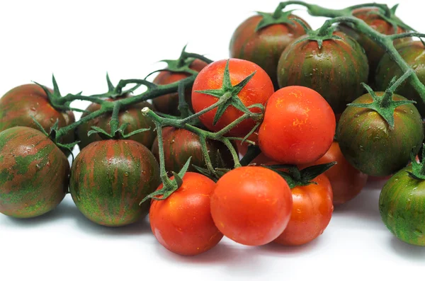 Tomatoe 5 — Stock Photo, Image